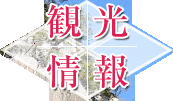 観光情報