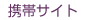 携帯サイト