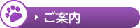 ご案内