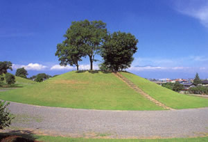 丸山塚古墳の写真