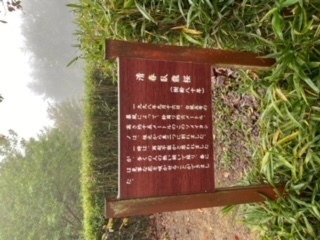 10kawagai9
