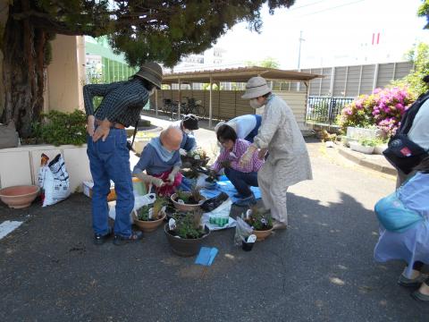 かるがも学級