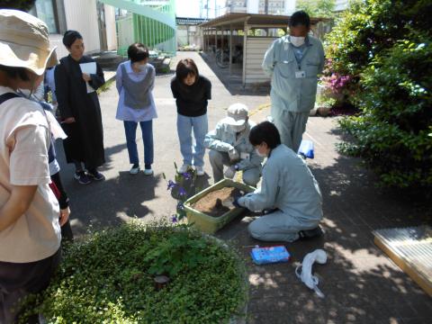 あさがお学級