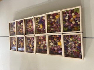hana4