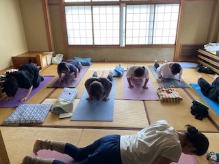 804hinayo5