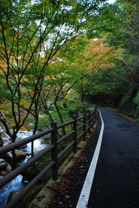 遊歩道