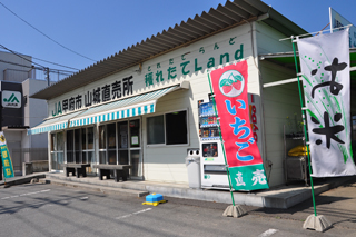 穫れたてLand山城店