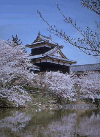 姉妹都市和郡山の写真