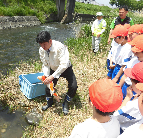 5月2日 認定NPO法人「未来の荒川をつくる会」主催 第8回「錦鯉」の放流の写真3