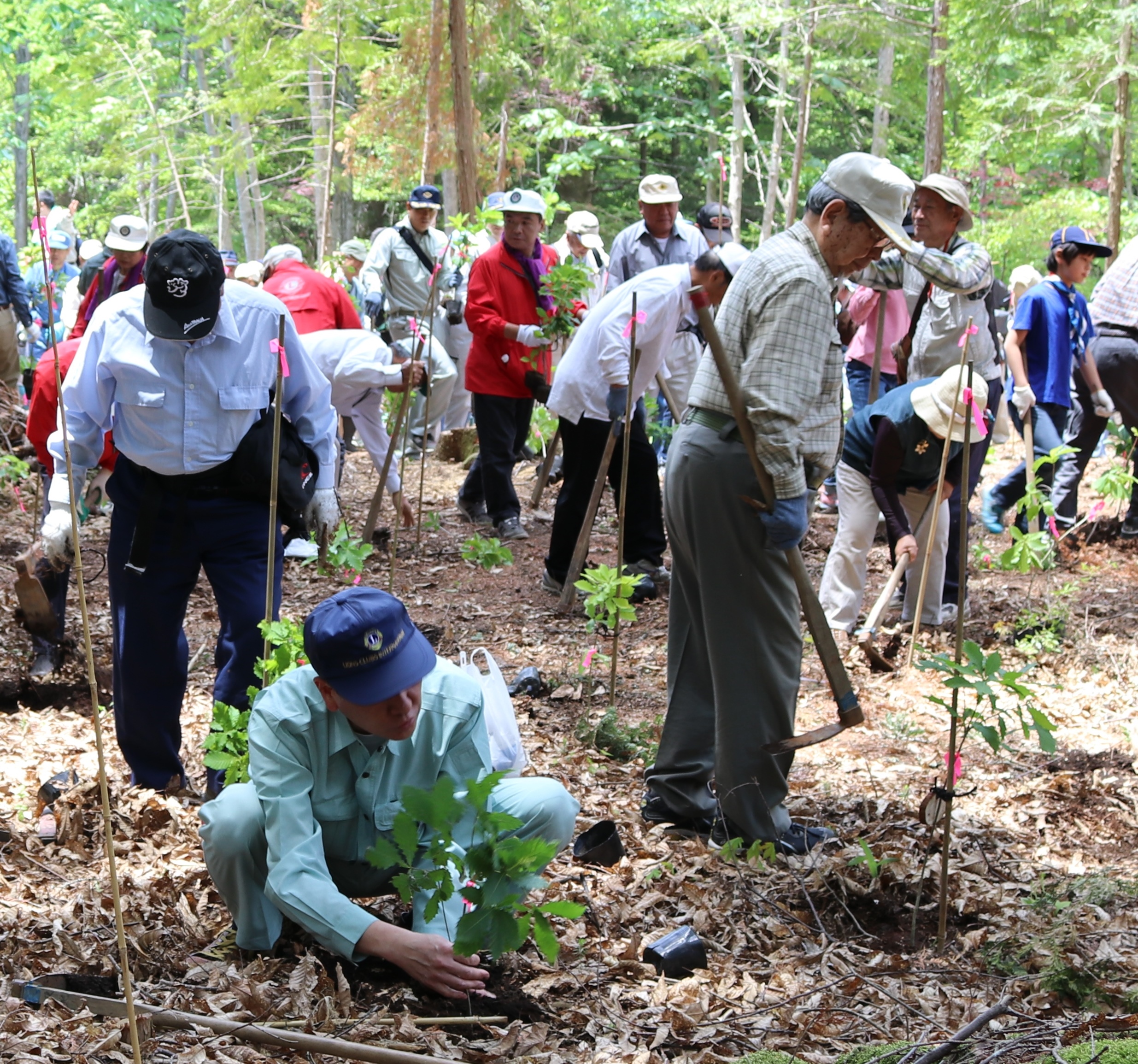 6月4日 平成28年度 「水源林植樹の集い」の写真2