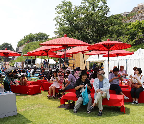 8月11日 2016小江戸甲府の夏祭りの写真3