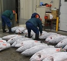 1月5日 甲府市地方卸売市場 初市互礼会の写真3