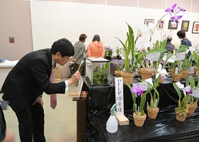 1月15日 第34回 新春洋蘭展の写真1