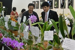 1月15日 第34回 新春洋蘭展の写真2