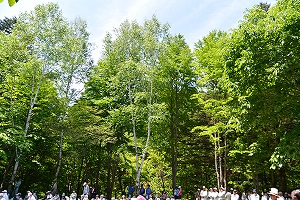 6月3日 水源林植樹の集いの写真4