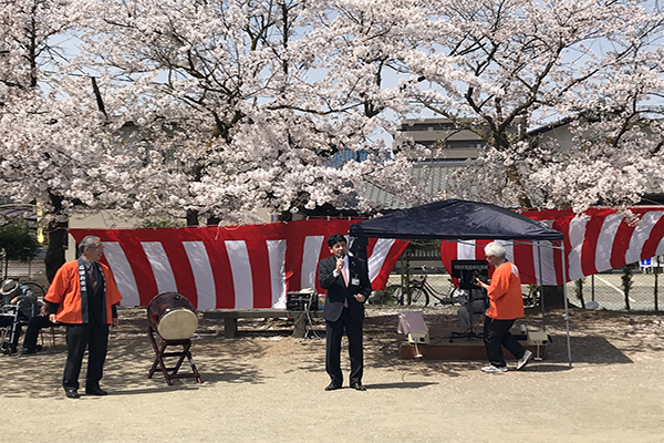 石田お俵連 桜まつりの写真1