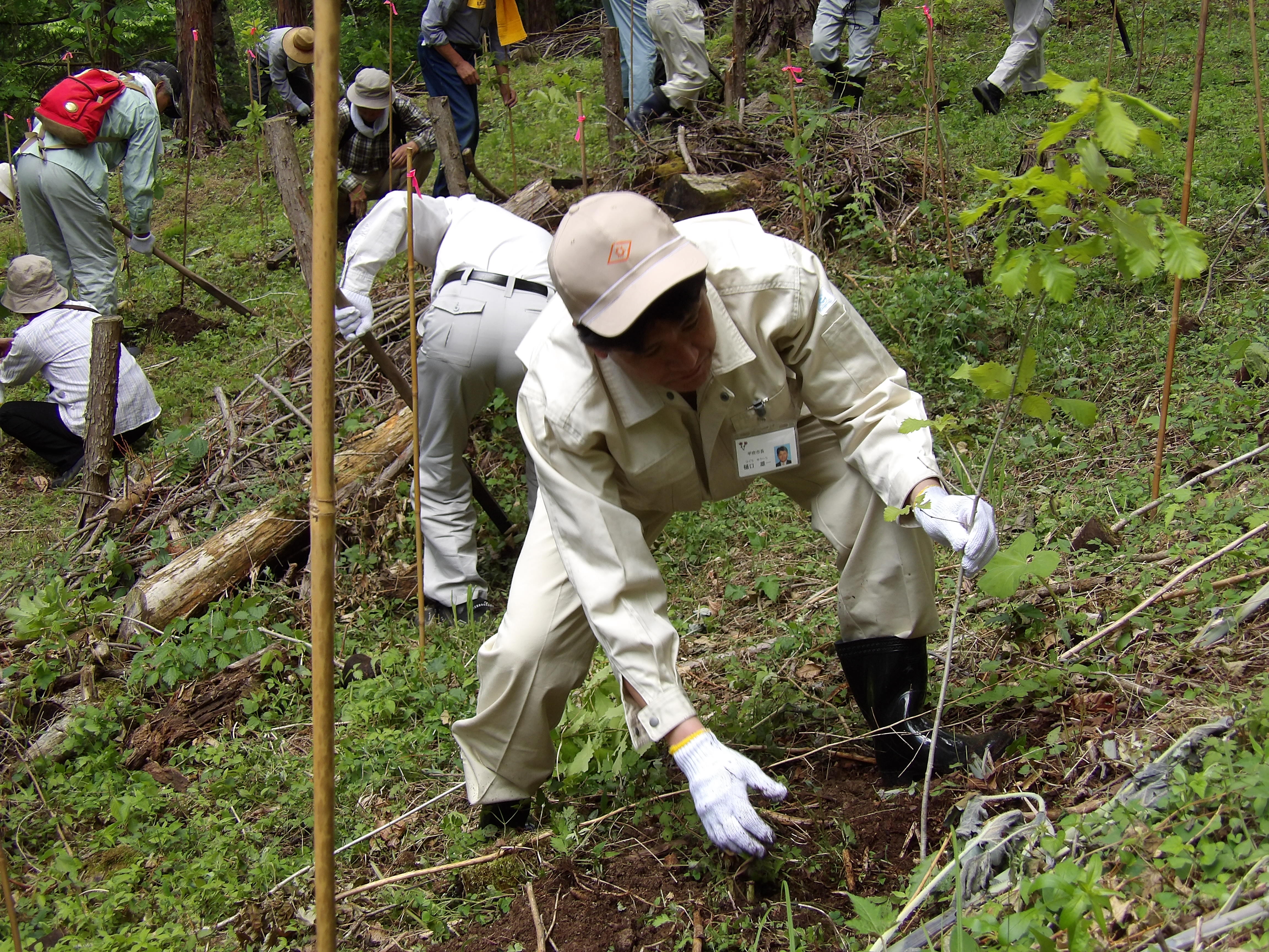 平成27年度水源林植樹の集い1