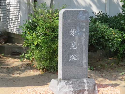 R8-202-0-3