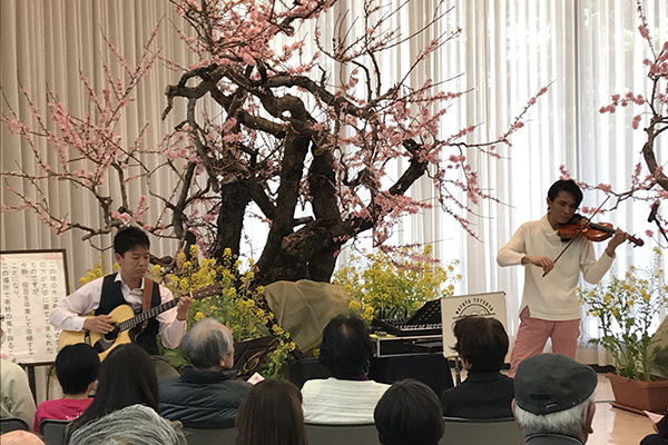 桃の花コンサートの写真1