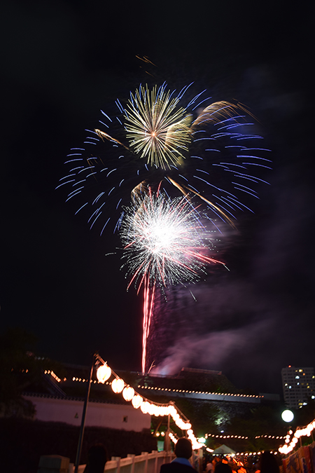 小江戸甲府の夏祭りの写真4