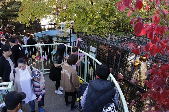 甲府市遊亀公園附属動物園開園100周年記念イベントの写真2