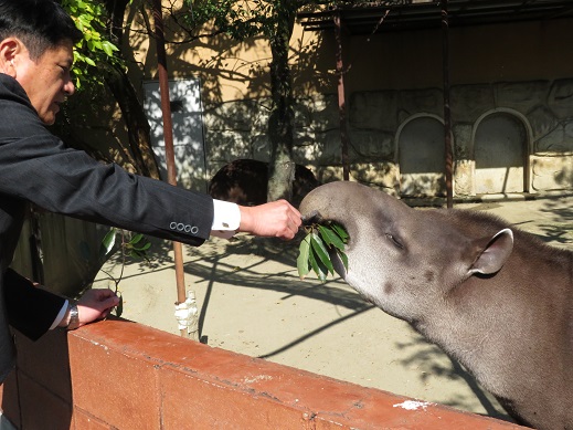 甲府市遊亀公園附属動物園開園100周年記念イベントの写真4