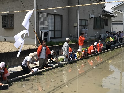 悠紀の里お田植祭の写真2