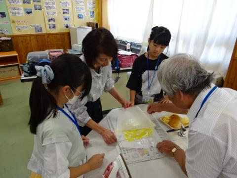 貢川ｓｄｇｓ５