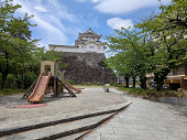 0514あじさい広場