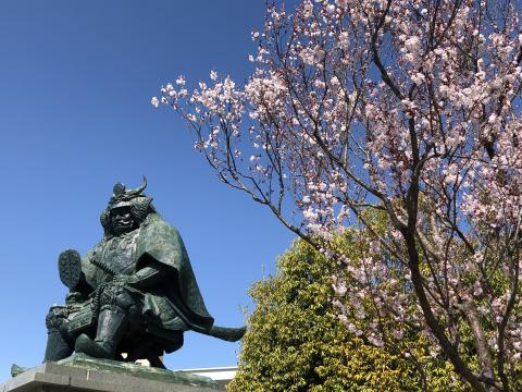 武田信玄公之像（桜）