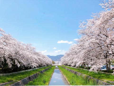 小瀬スポーツ公園