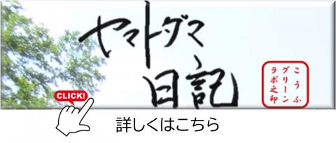 バナー2