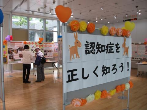 R7展示1