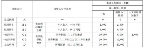 自己負担上限額