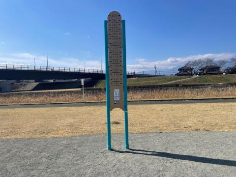 荒川緑地4