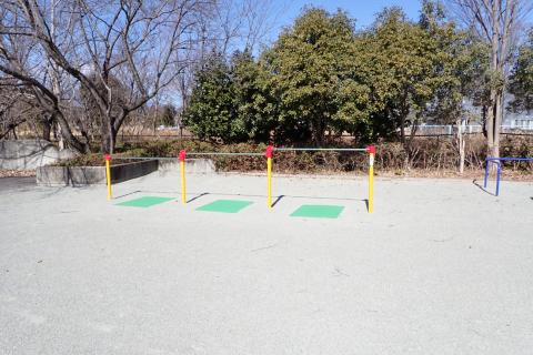 大津公園鉄棒