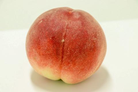 夢みずき（ネットなし）
