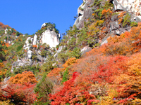 紅葉の覚円峰