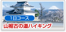 1日コース山裾古の道ハイキング