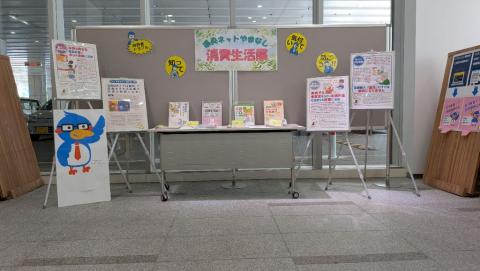 1photo26