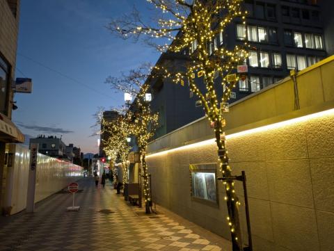 イルミネーション