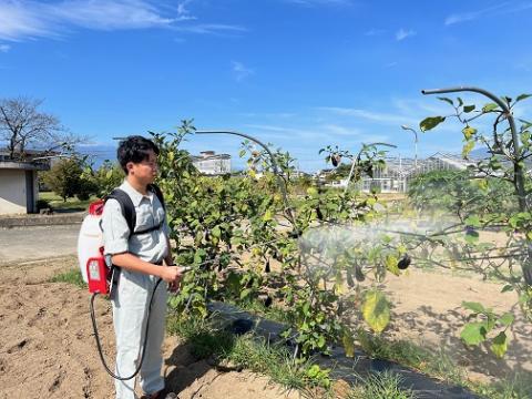 動力噴霧器