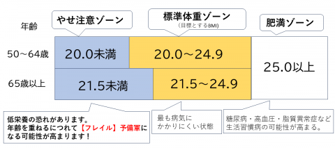 65歳以上BMI