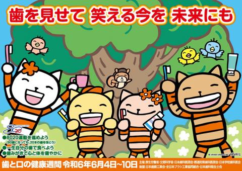 R6歯と口の健康週間