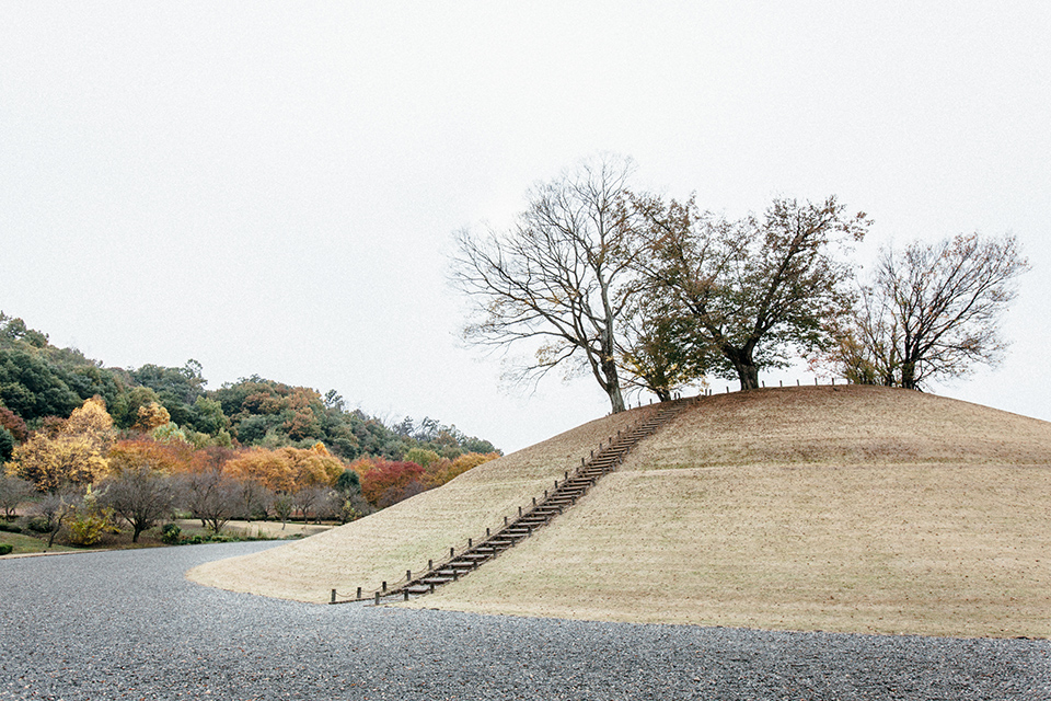 ●山梨県曽根丘陵公園