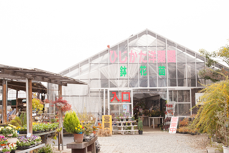 土方洋蘭園