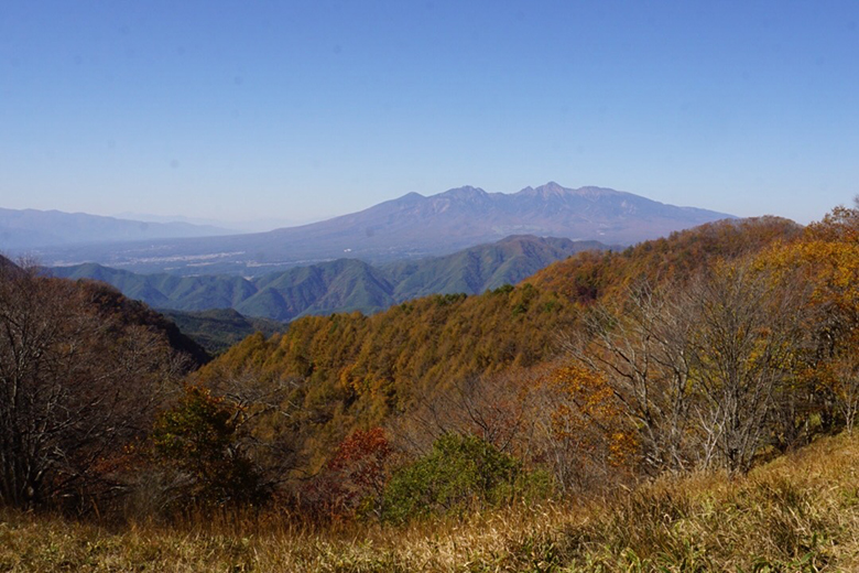 南アルプスを望む絶景