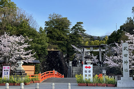 甲斐国の総鎮護、「武田神社」の森がすごい！