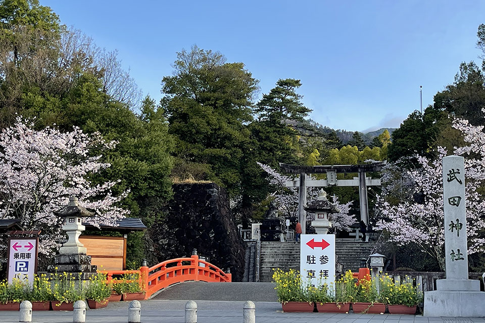 甲斐国の総鎮護、「武田神社」の森