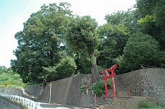 左口神社（さぐちじんじゃ）の画像